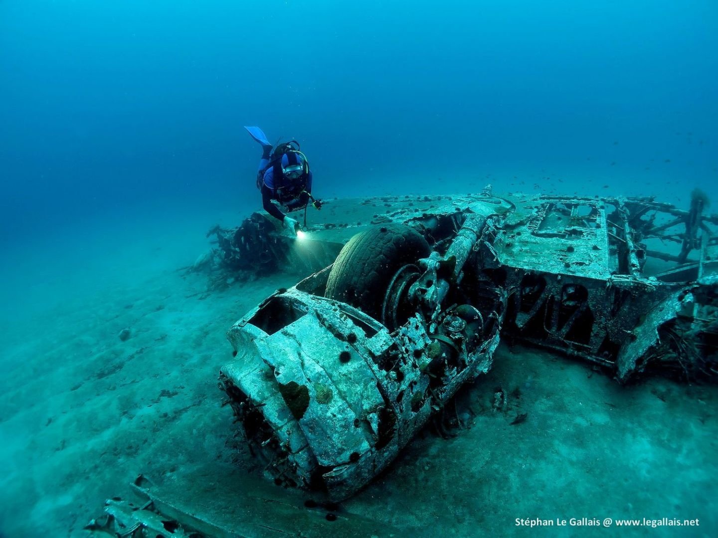 🐠 해마 다이빙 칼비 (이포캄프 플롱제 칼비)